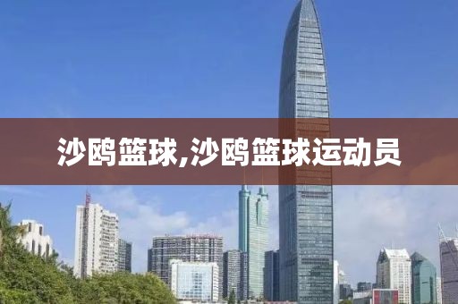 沙鸥篮球,沙鸥篮球运动员