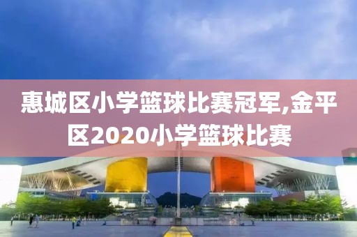 惠城区小学篮球比赛冠军,金平区2020小学篮球比赛