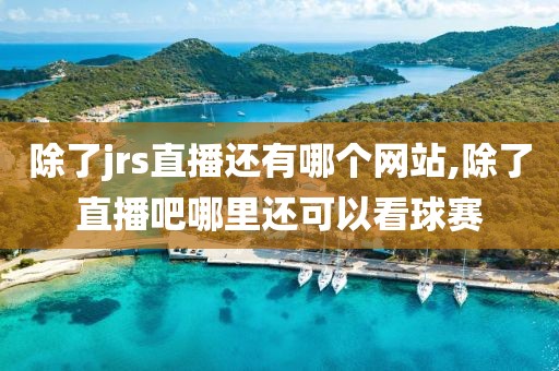 除了jrs直播还有哪个网站,除了直播吧哪里还可以看球赛