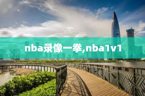 nba录像一拳,nba1v1