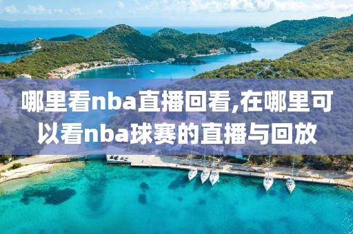 哪里看nba直播回看,在哪里可以看nba球赛的直播与回放
