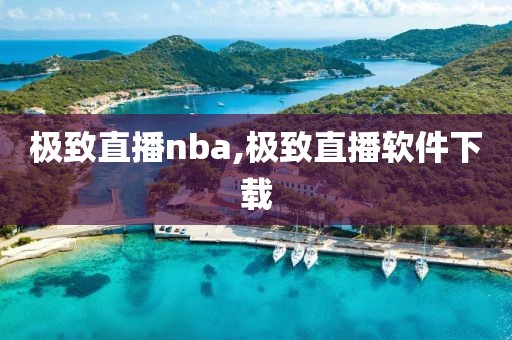极致直播nba,极致直播软件下载