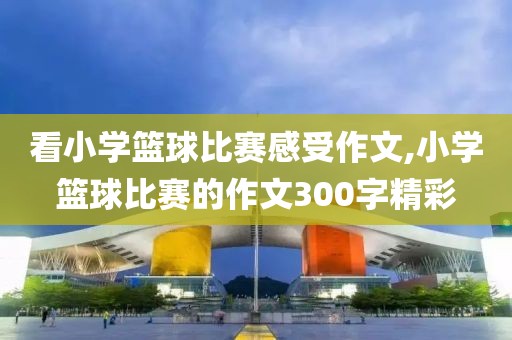 看小学篮球比赛感受作文,小学篮球比赛的作文300字精彩