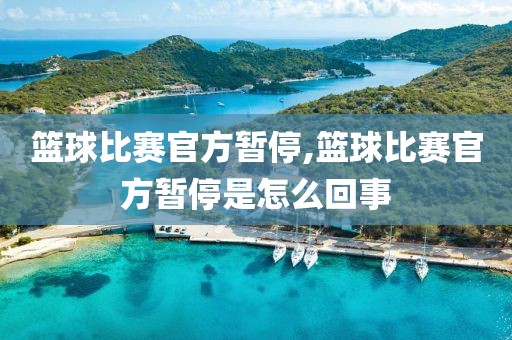 篮球比赛官方暂停,篮球比赛官方暂停是怎么回事