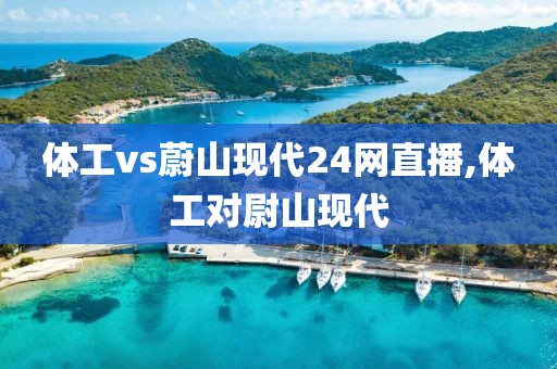 体工vs蔚山现代24网直播,体工对尉山现代