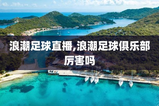 浪潮足球直播,浪潮足球俱乐部厉害吗