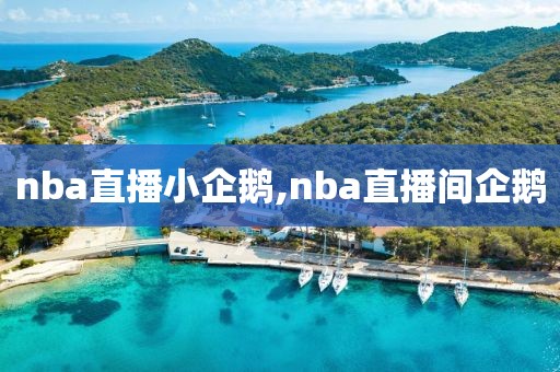 nba直播小企鹅,nba直播间企鹅
