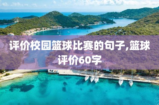 评价校园篮球比赛的句子,篮球评价60字