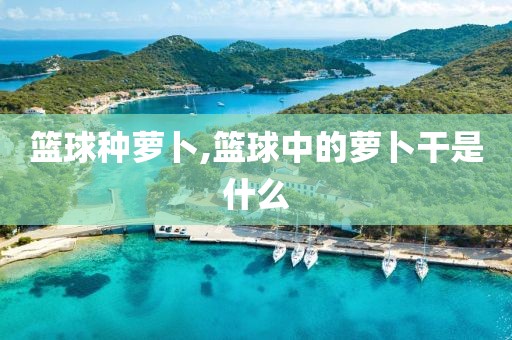 篮球种萝卜,篮球中的萝卜干是什么