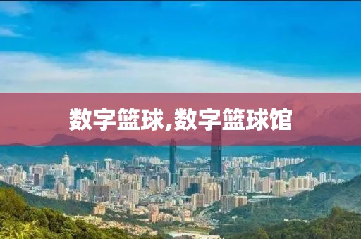 数字篮球,数字篮球馆