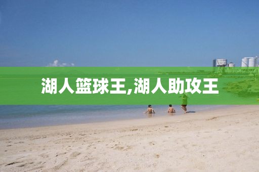 湖人篮球王,湖人助攻王