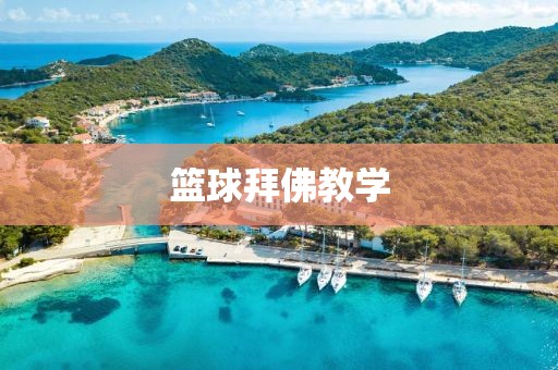 篮球拜佛教学