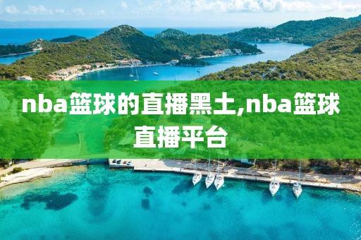 nba篮球的直播黑土,nba篮球直播平台