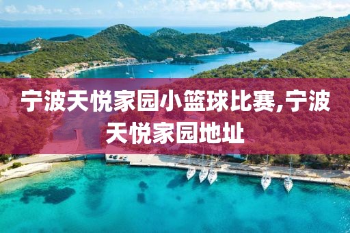 宁波天悦家园小篮球比赛,宁波天悦家园地址