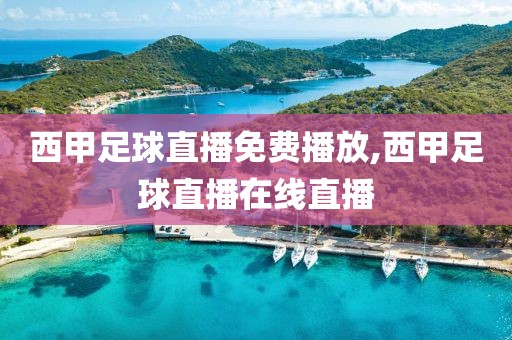 西甲足球直播免费播放,西甲足球直播在线直播