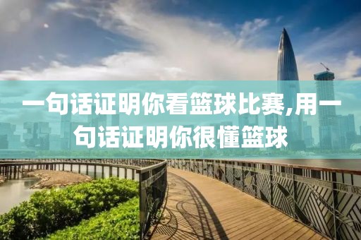一句话证明你看篮球比赛,用一句话证明你很懂篮球