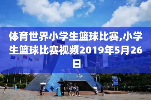 体育世界小学生篮球比赛,小学生篮球比赛视频2019年5月26日