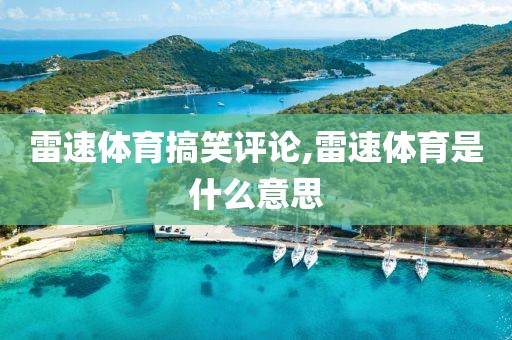 雷速体育搞笑评论,雷速体育是什么意思