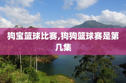 狗宝篮球比赛,狗狗篮球赛是第几集