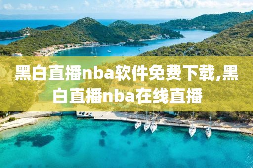 黑白直播nba软件免费下载,黑白直播nba在线直播