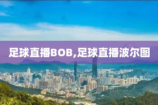 足球直播BOB,足球直播波尔图