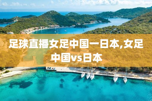 足球直播女足中国一日本,女足中国vs日本