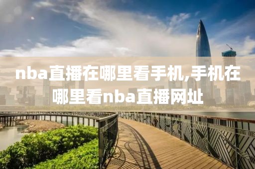 nba直播在哪里看手机,手机在哪里看nba直播网址