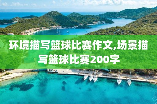 环境描写篮球比赛作文,场景描写篮球比赛200字