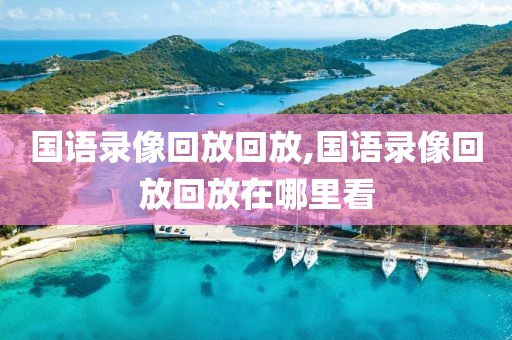 国语录像回放回放,国语录像回放回放在哪里看