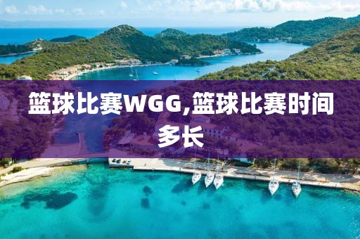 篮球比赛WGG,篮球比赛时间多长