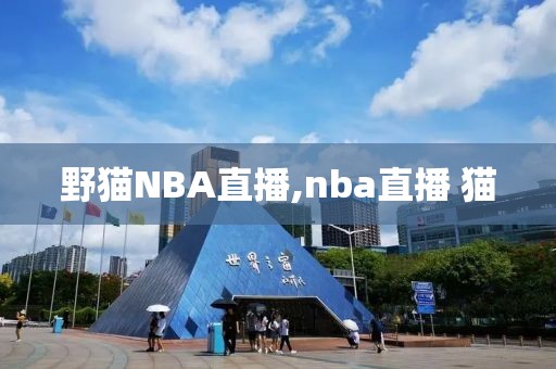 野猫NBA直播,nba直播 猫