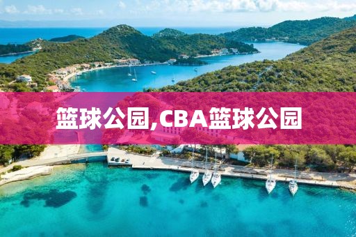 篮球公园,CBA篮球公园