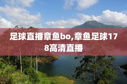 足球直播章鱼bo,章鱼足球178高清直播