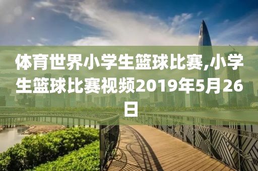 体育世界小学生篮球比赛,小学生篮球比赛视频2019年5月26日