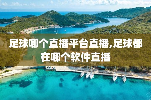 足球哪个直播平台直播,足球都在哪个软件直播