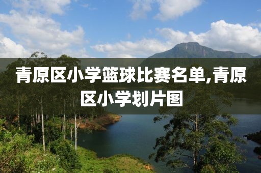 青原区小学篮球比赛名单,青原区小学划片图