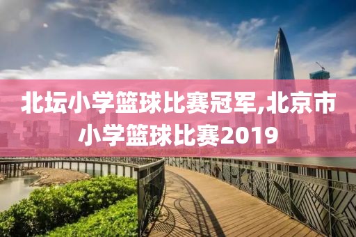 北坛小学篮球比赛冠军,北京市小学篮球比赛2019
