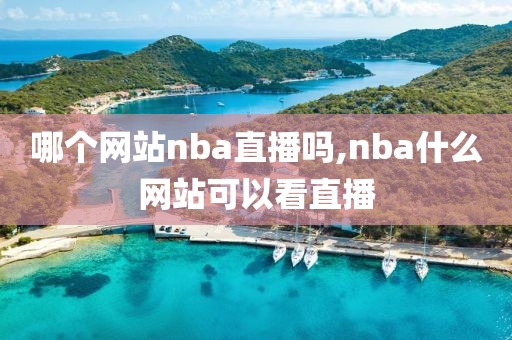哪个网站nba直播吗,nba什么网站可以看直播