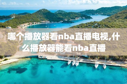 哪个播放器看nba直播电视,什么播放器能看nba直播