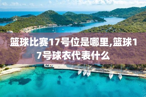 篮球比赛17号位是哪里,篮球17号球衣代表什么