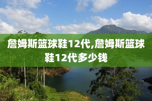 詹姆斯篮球鞋12代,詹姆斯篮球鞋12代多少钱