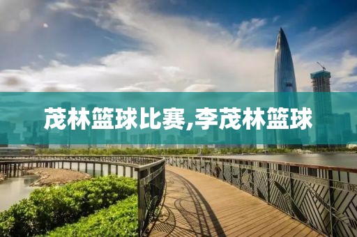 茂林篮球比赛,李茂林篮球