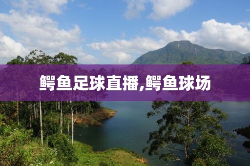 鳄鱼足球直播,鳄鱼球场