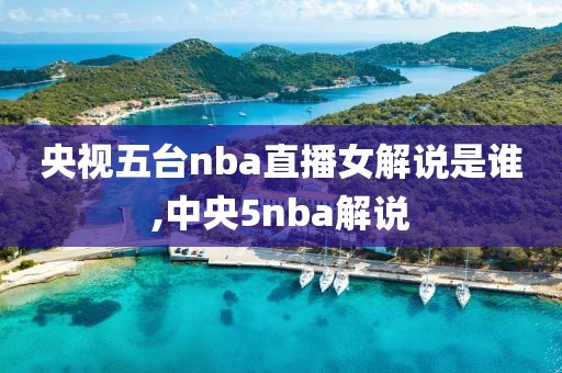 央视五台nba直播女解说是谁,中央5nba解说