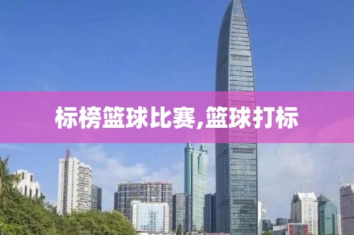 标榜篮球比赛,篮球打标