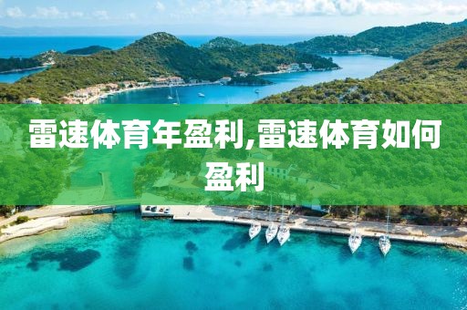 雷速体育年盈利,雷速体育如何盈利