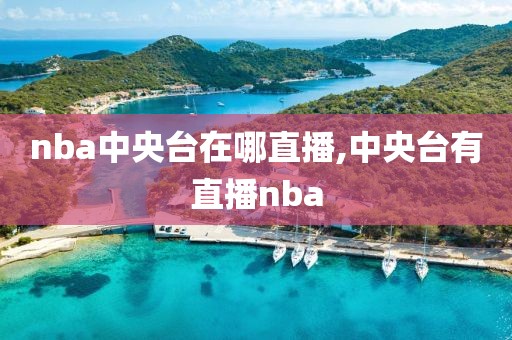 nba中央台在哪直播,中央台有直播nba