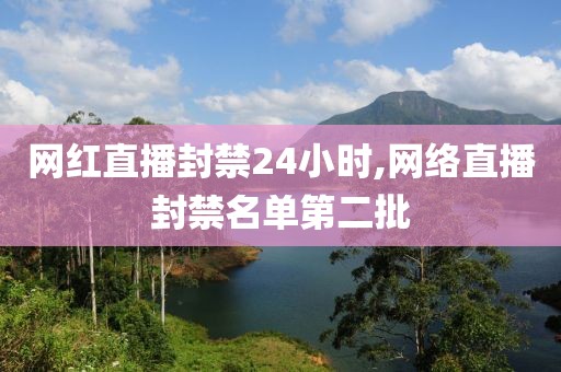 网红直播封禁24小时,网络直播封禁名单第二批