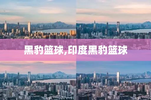 黑豹篮球,印度黑豹篮球