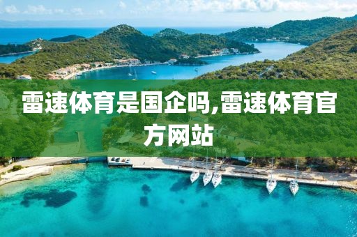 雷速体育是国企吗,雷速体育官方网站